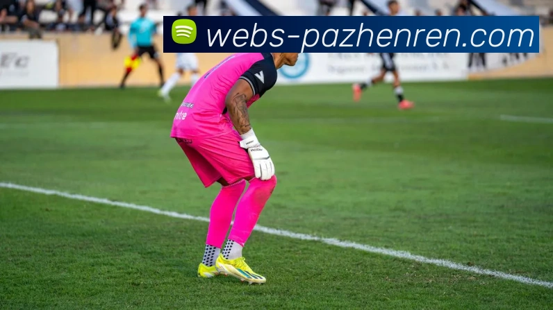 pa真人APP 体育赛事宣传图